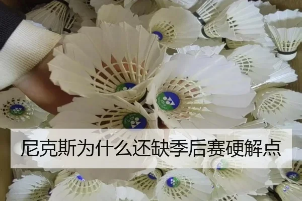 尼克斯为什么还缺季后赛硬解点